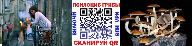 Галлюциногенные грибы мицелий  darknet как зайти  Азнакаево 